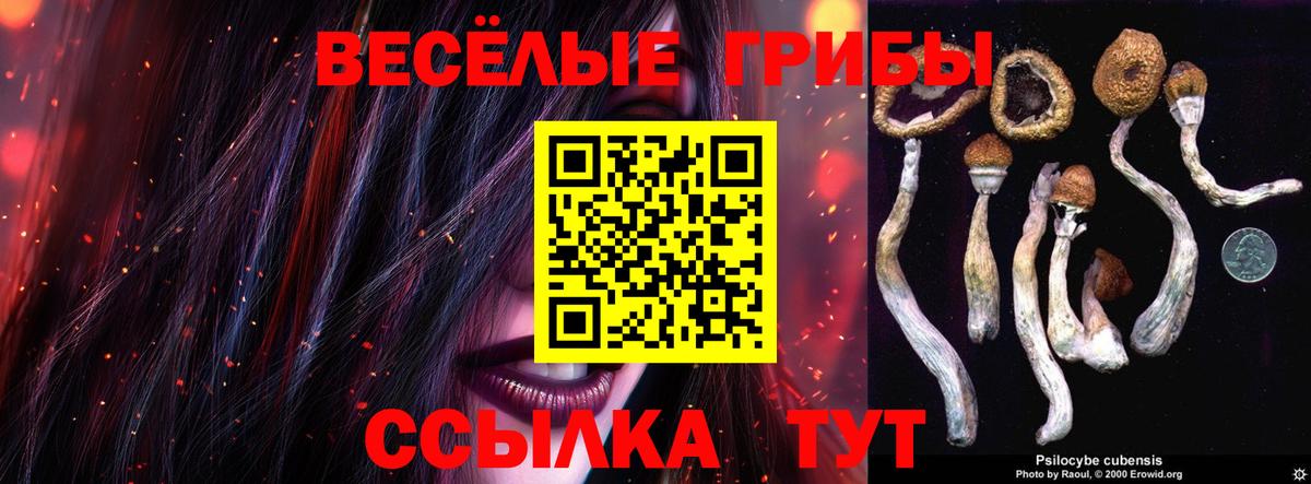 Псилоцибиновые грибы мицелий Соликамск