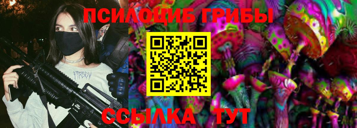Псилоцибиновые грибы Соликамск