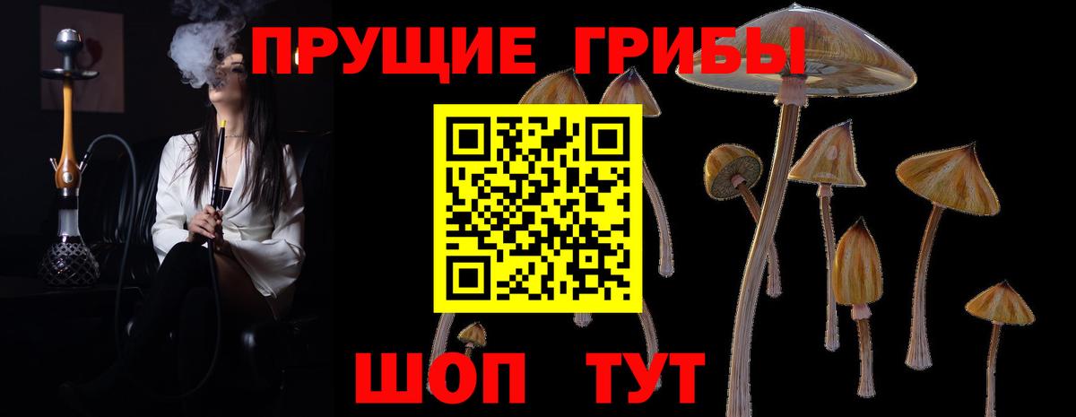 Соликамск  Галлюциногенные грибы ЛСД  Вход с VPN 